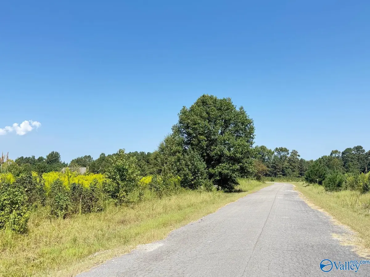 1 acre lot County Road 487, Moulton, AL 35650 - #1
