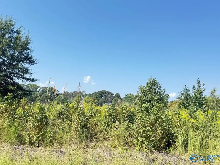 1 acre lot County Road 487, Moulton, AL 35650 - #2
