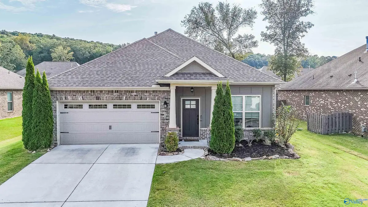 3013 Peevey Creek Lane, Owens Cross Roads, AL 35763 - #1