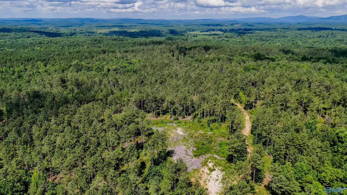 1 County Road 65, Fruithurst, AL 36262 - #1