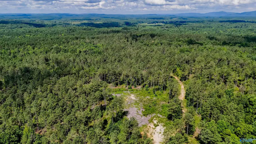 1 County Road 65, Fruithurst, AL 36262 - #2