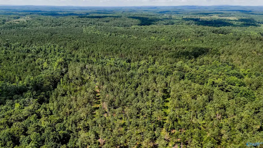 1 County Road 65, Fruithurst, AL 36262 - #3