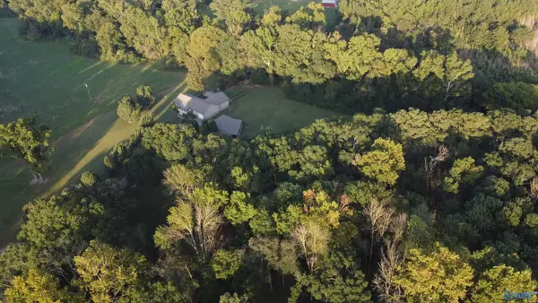 8339 Nixon Chapel Road, Horton, AL 35980