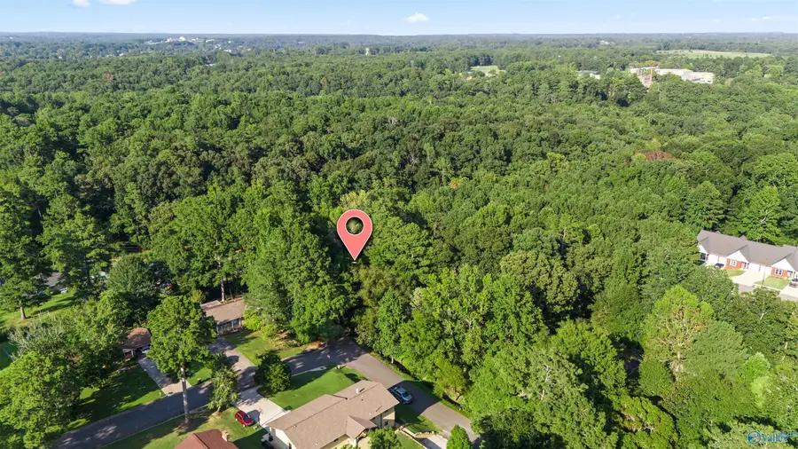Lot 22 Avenue J, Cullman, AL 35055 - #2