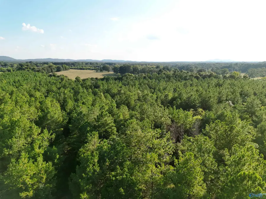 118 AC Pope Road, Gadsden, AL 35901 - #2