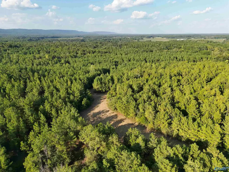 118 AC Pope Road, Gadsden, AL 35901 - #3