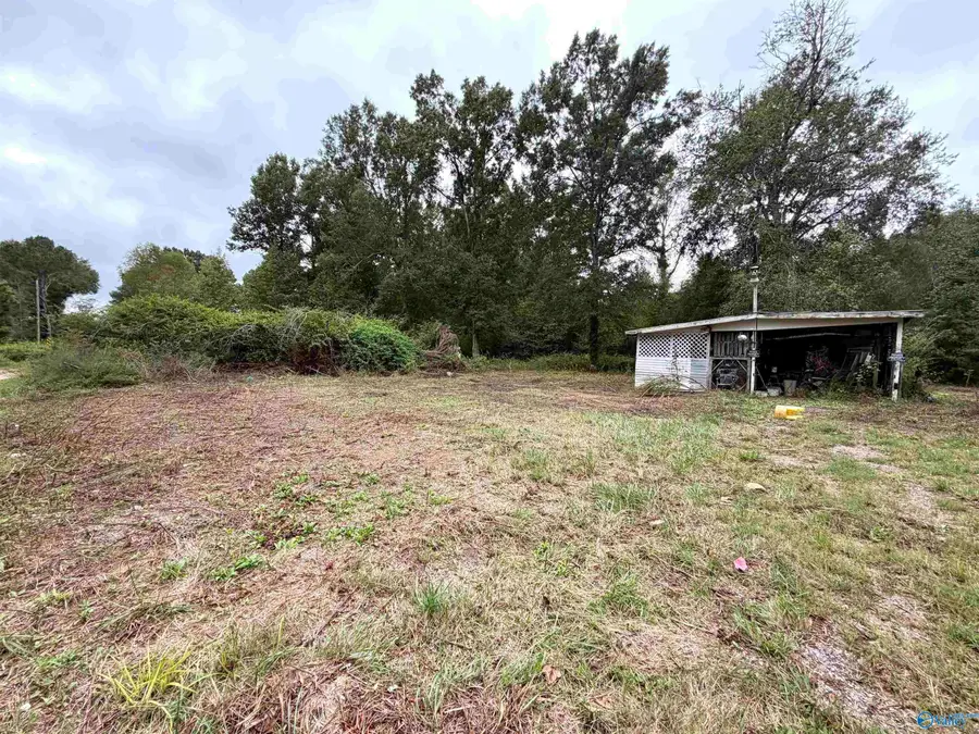 891 County Road 17, Leesburg, AL 35983 - #3