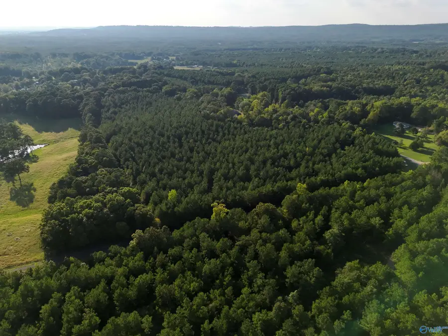 7 AC Rolling Hills Road, Gadsden, AL 35901 - #2