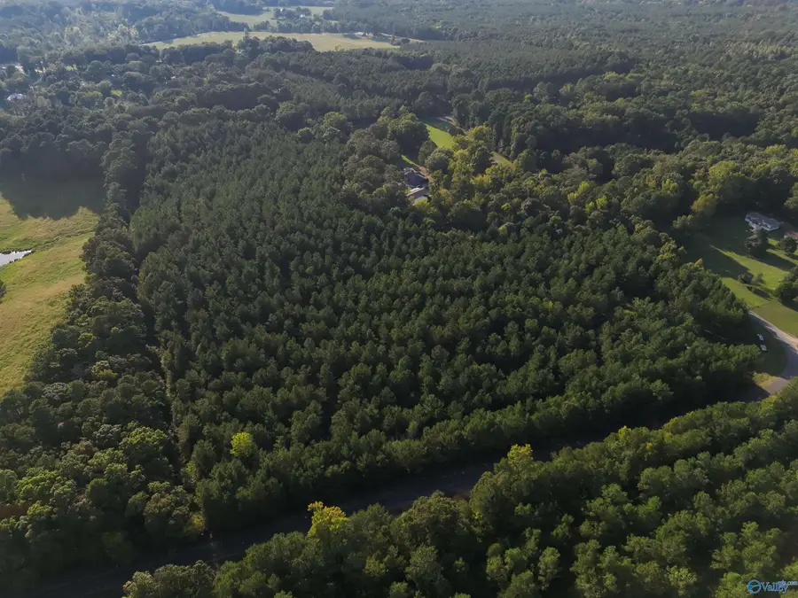 7 AC Rolling Hills Road, Gadsden, AL 35901 - #3