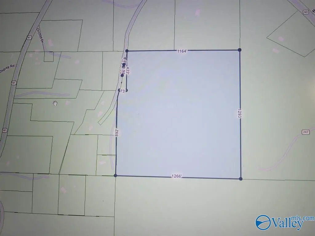 10 County Road 245, Houston, AL 35572 - #1