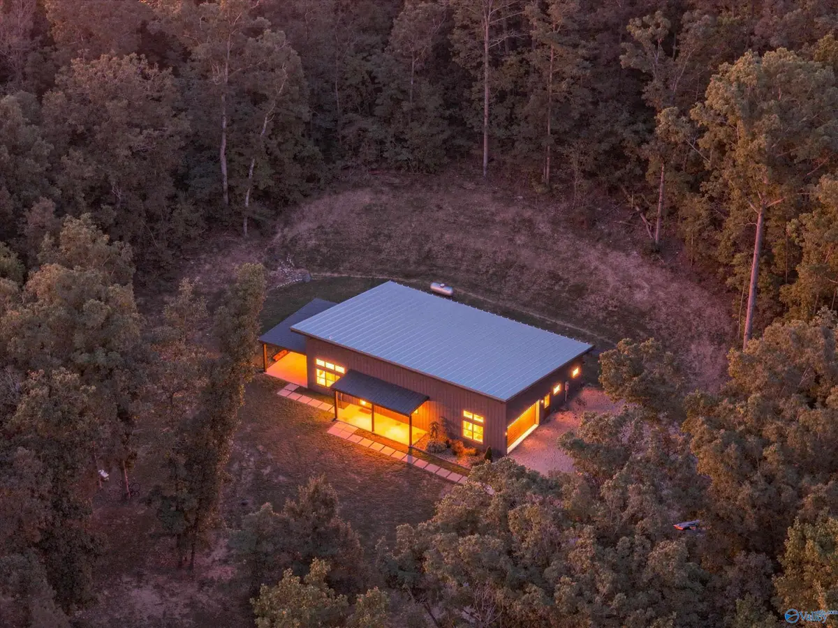 425 Evelyn Drive, Steele, AL 35987 - #1