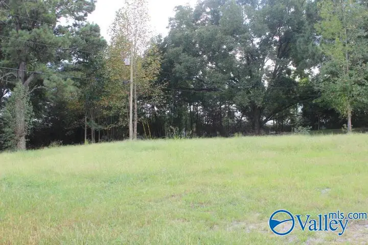 859 Main Street West, Rainsville, AL 35986 - #3