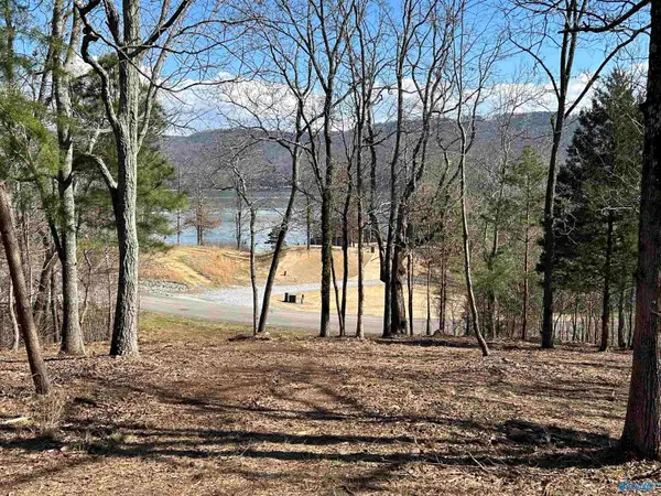 Lot 149 Lookout Mountain Drive, Scottsboro, AL 35769