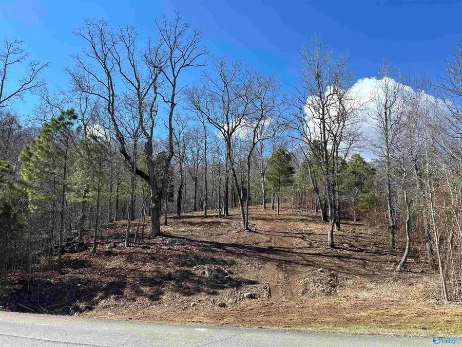 Lot 149 Lookout Mountain Drive, Scottsboro, AL 35769 - #2