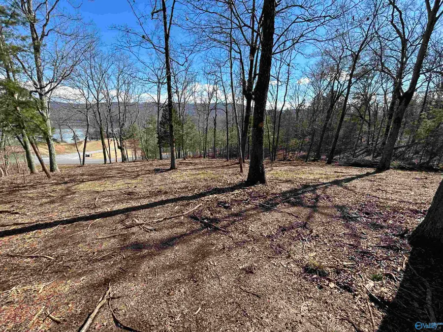 Lot 149 Lookout Mountain Drive, Scottsboro, AL 35769 - #3
