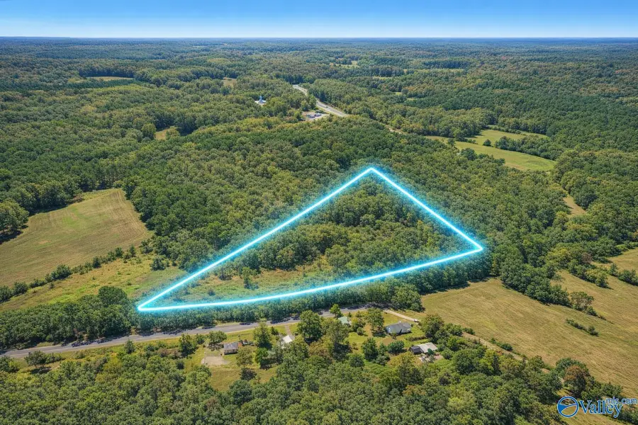 21 ac Old Larkinsville Road, Scottsboro, AL 35768 - #2
