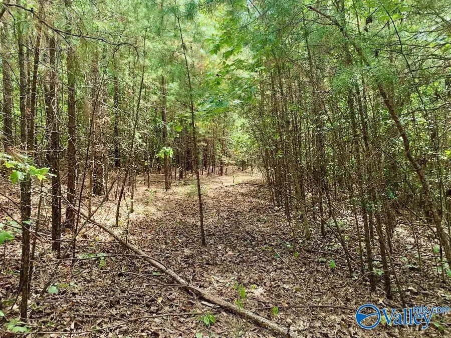 640 Blowing Cave Road, Gurley, AL 35748 - #2