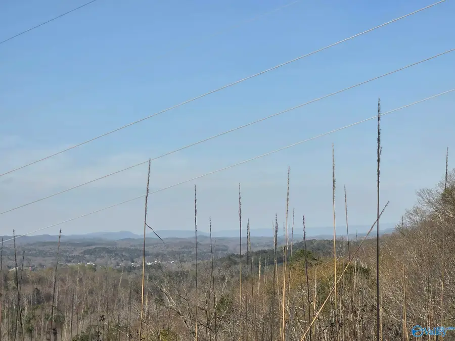 79 Hixon Road Nw, Fort Payne, AL 35967 - #3