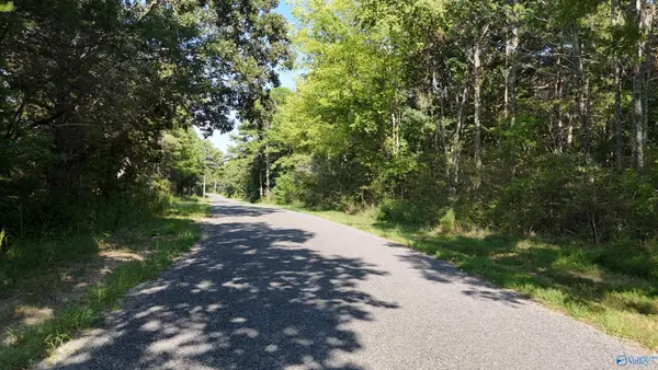 994 County Road 72, Mentone, AL 35984