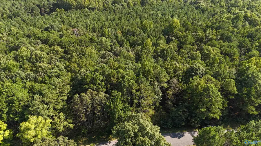994 County Road 72, Mentone, AL 35984 - #2