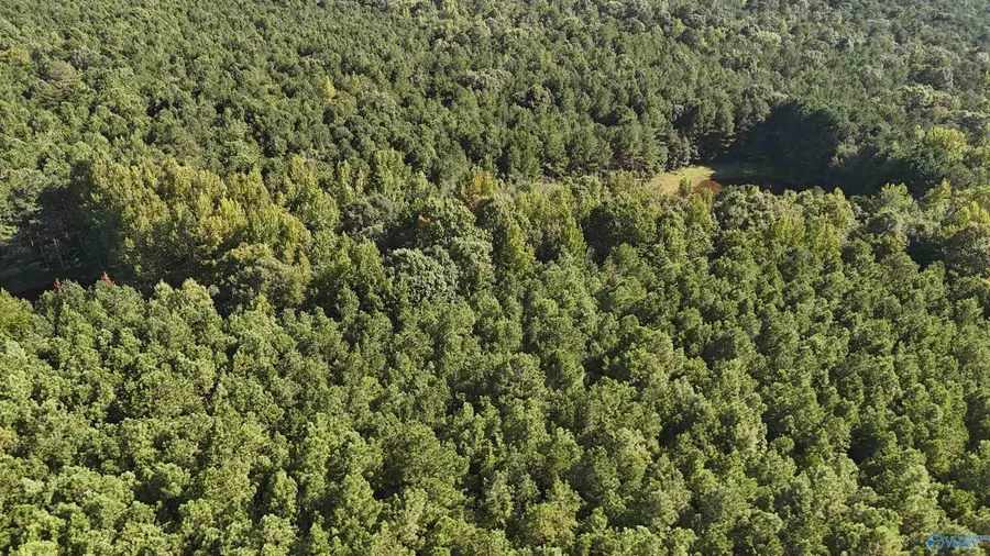 994 County Road 72, Mentone, AL 35984 - #3