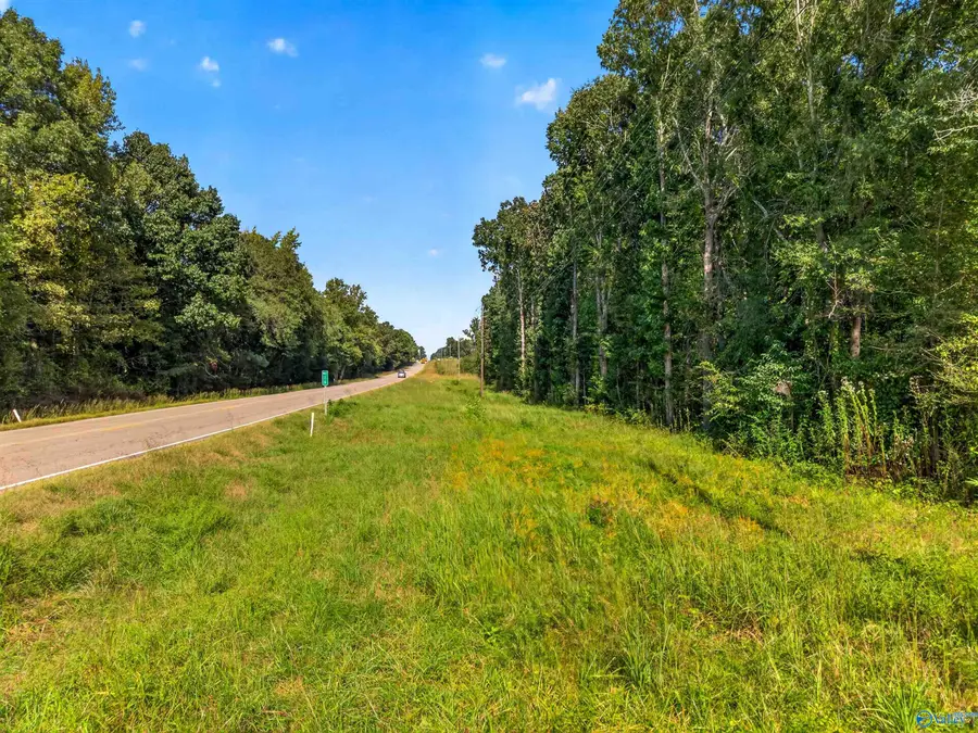 10 acres Alabama Highway 132, Altoona, AL 35952 - #3
