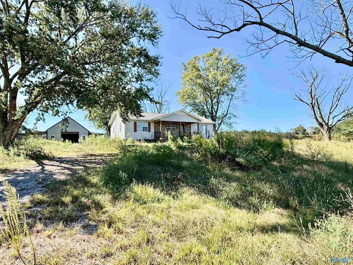 254 Mount Sinai Road, Horton, AL 35980 - #1