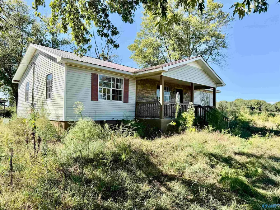254 Mount Sinai Road, Horton, AL 35980 - #2