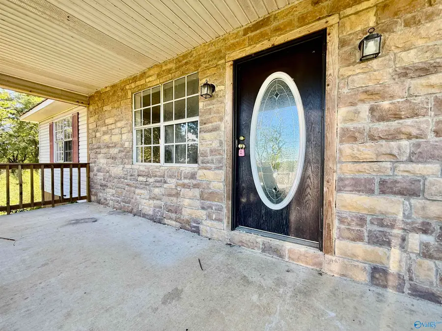 254 Mount Sinai Road, Horton, AL 35980 - #3