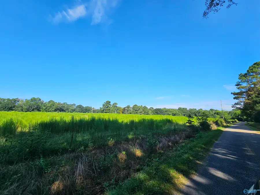 23 Bridge Road, Arab, AL 35016 - #3