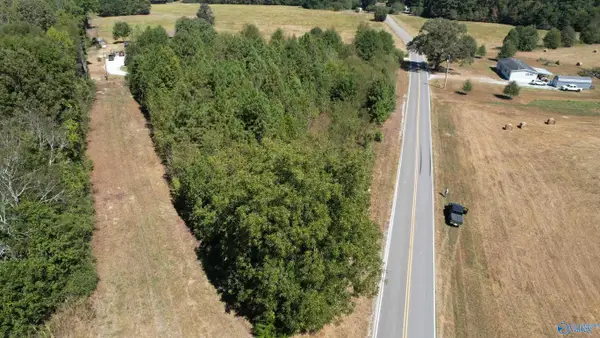 18155 Townsend Ford Road, County, AL 35611
