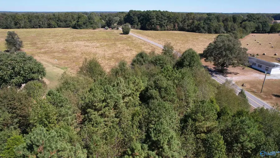 18155 Townsend Ford Road, Athens, AL 35611 - #2