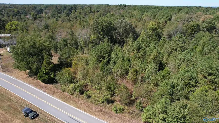 18155 Townsend Ford Road, Athens, AL 35611 - #3
