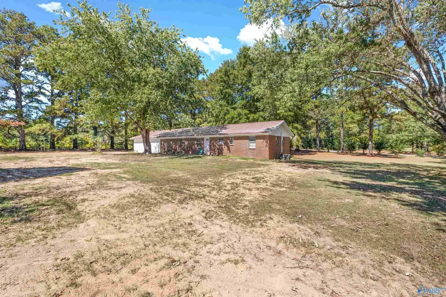 1133 Liberty Road, Danville, AL 35619 - #3