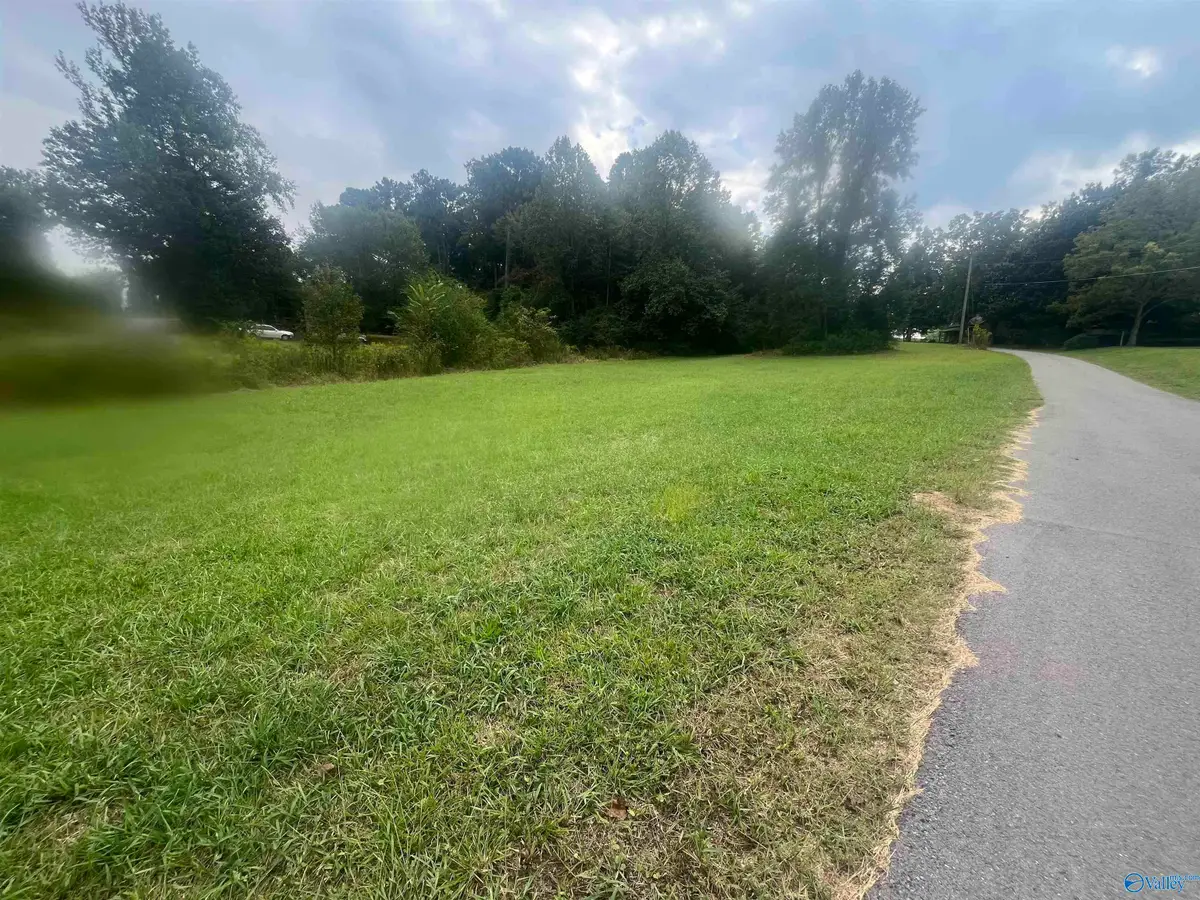 Lot 1 Junkins Road, Guntersville, AL 35976 - #1