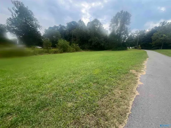 Lot 1 Junkins Road, Guntersville, AL 35976