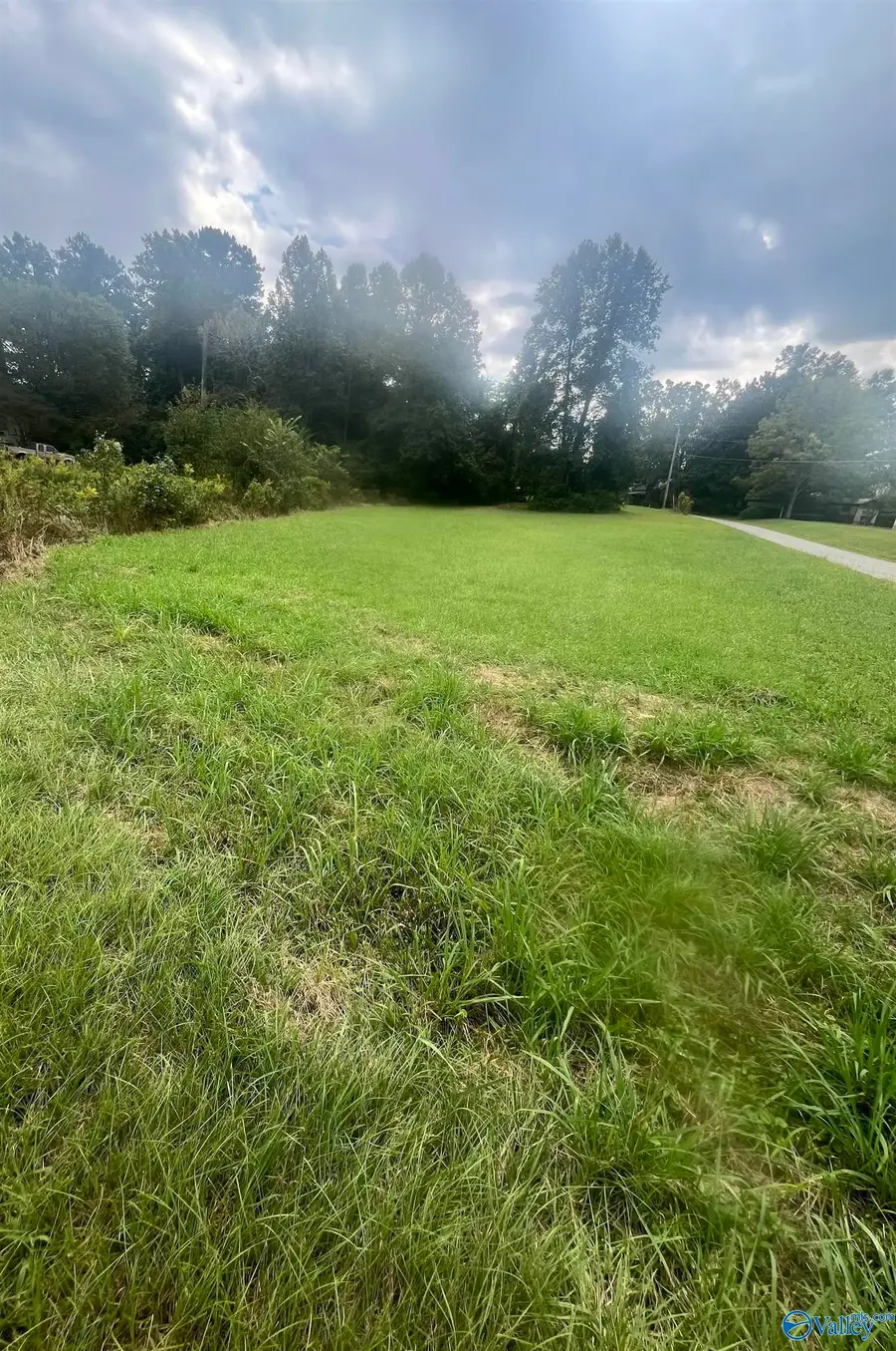 Lot 1 Junkins Road, Guntersville, AL 35976 - #2