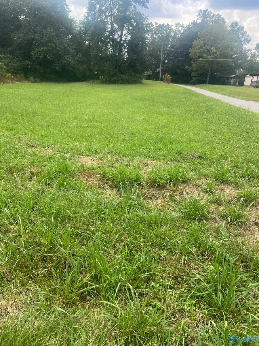 Lot 1 Junkins Road, Guntersville, AL 35976 - #3