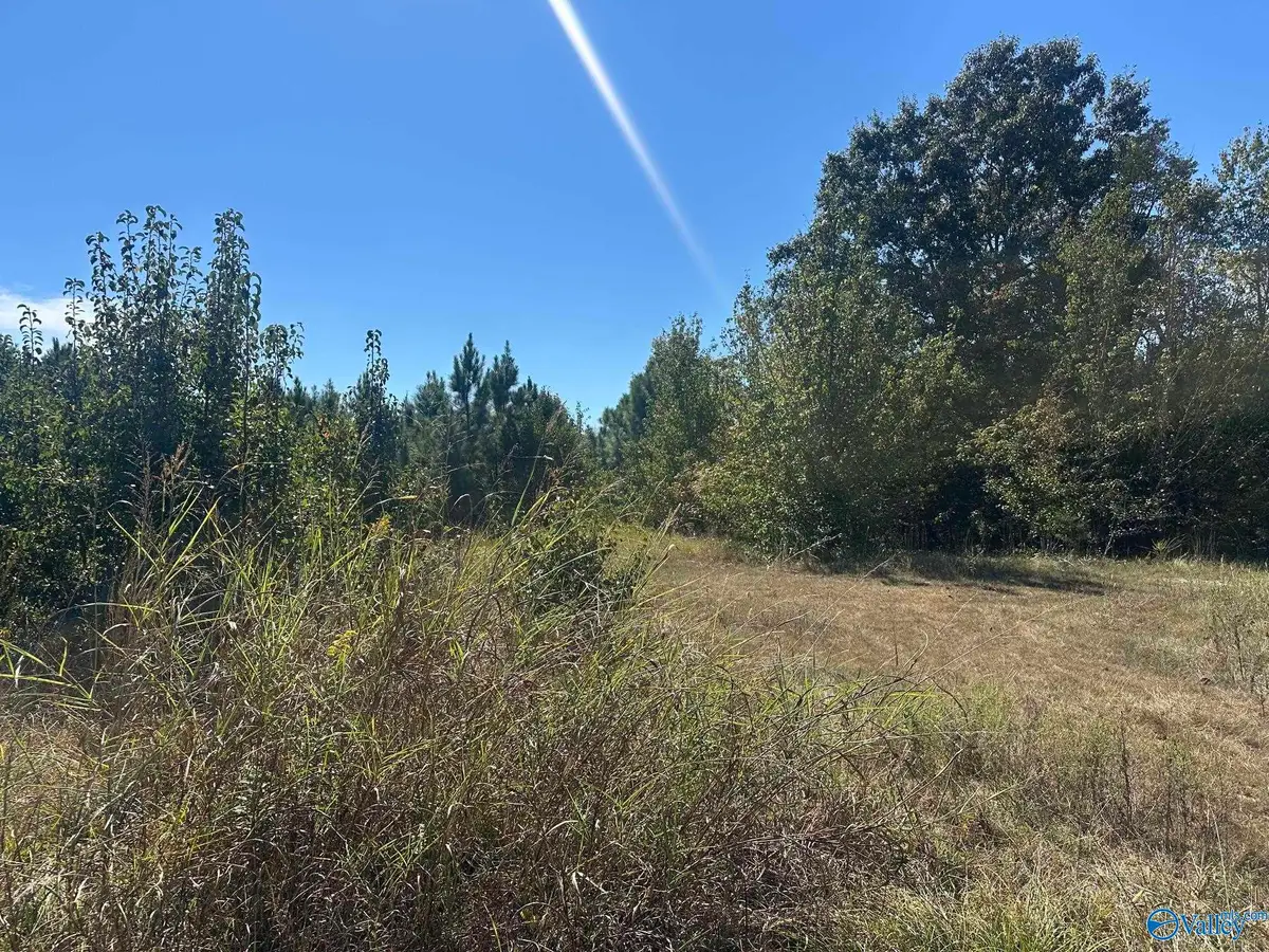 8837 Highway 72 N, Madison, AL 35758 - #1