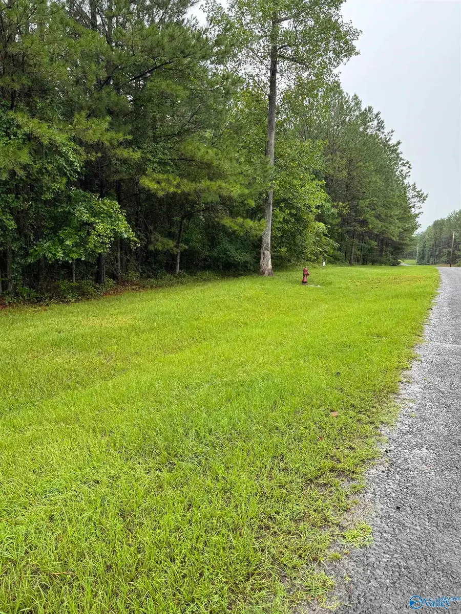 3.1+/- Brushy Creek Pointe, Arley, AL 35541 - #2