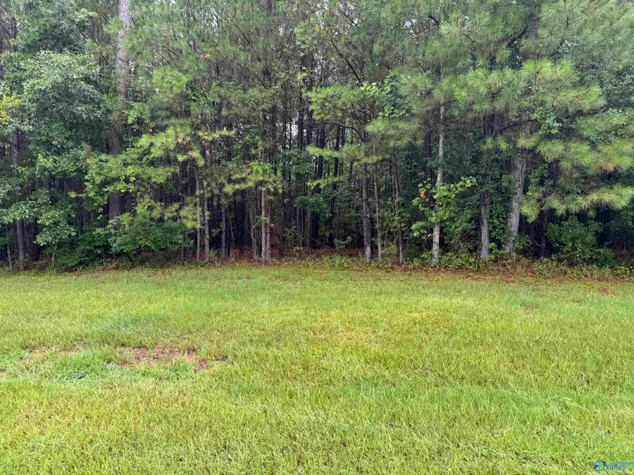 3.1+/- Brushy Creek Pointe, Arley, AL 35541 - #3