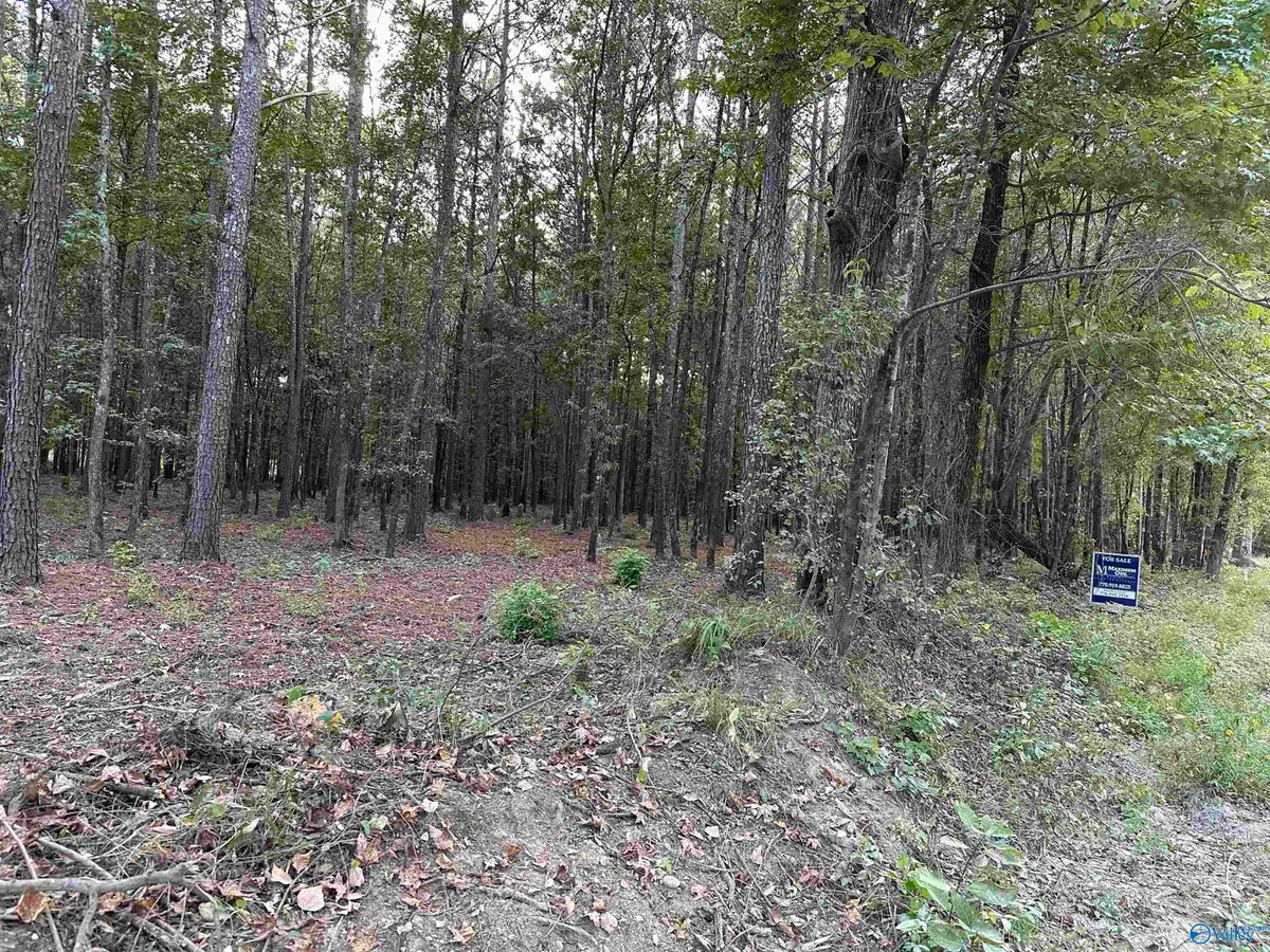 24 County Road 1011 #Lot 24, Centre, AL 35960 - #1