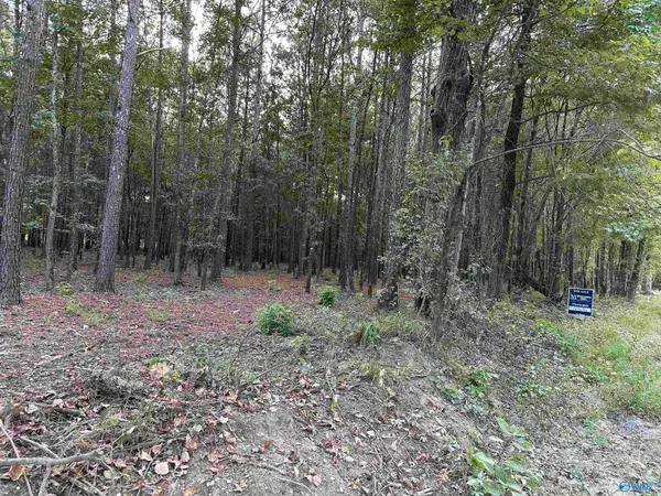 24 County Road 1011 #Lot 24, Centre, AL 35960