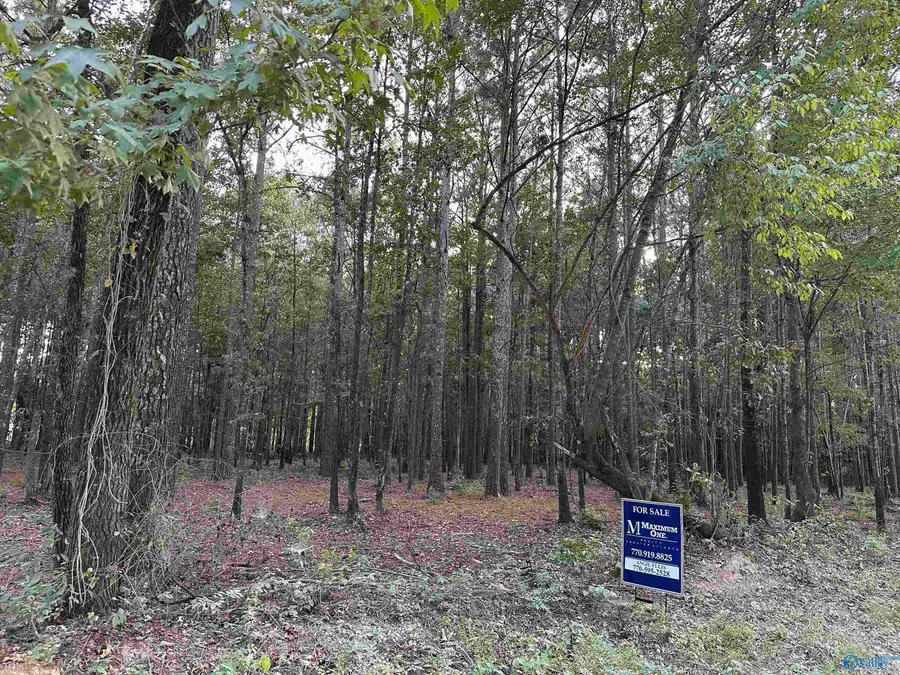 24 County Road 1011 #Lot 24, Centre, AL 35960 - #2