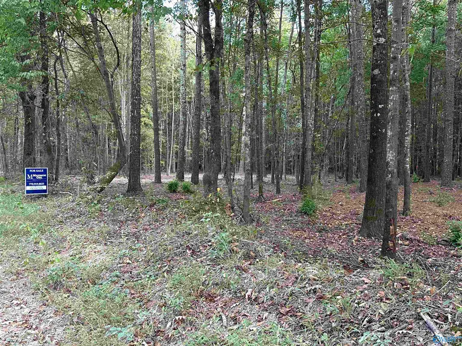 24 County Road 1011 #Lot 24, Centre, AL 35960 - #3