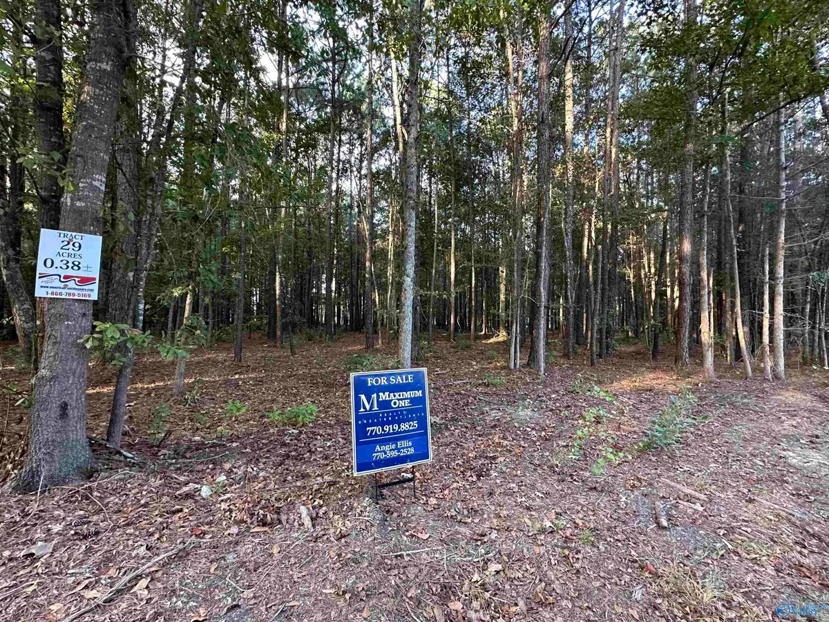 24 County Road 1011 #Lot 29, Centre, AL 35960 - #1