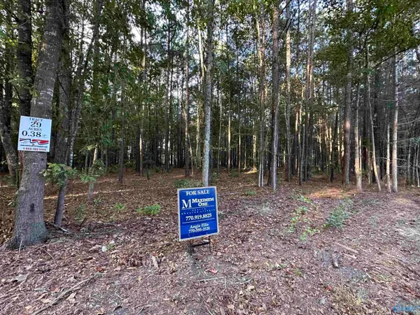 24 County Road 1011 #Lot 29, Centre, AL 35960
