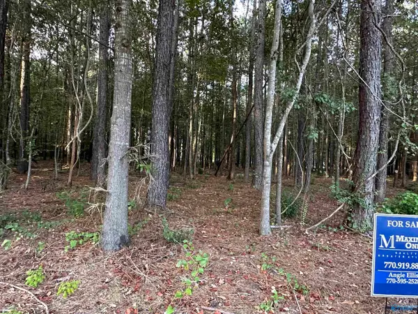24 County Road 1011 #30, Centre, AL 35960