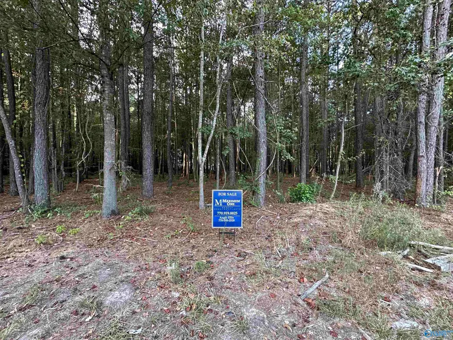 24 County Road 1011 #30, Centre, AL 35960 - #2