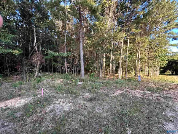 24 County Road 1011 #31, Centre, AL 35960